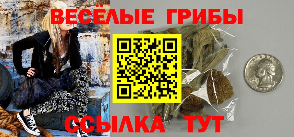 Галлюциногенные грибы мицелий Фролово