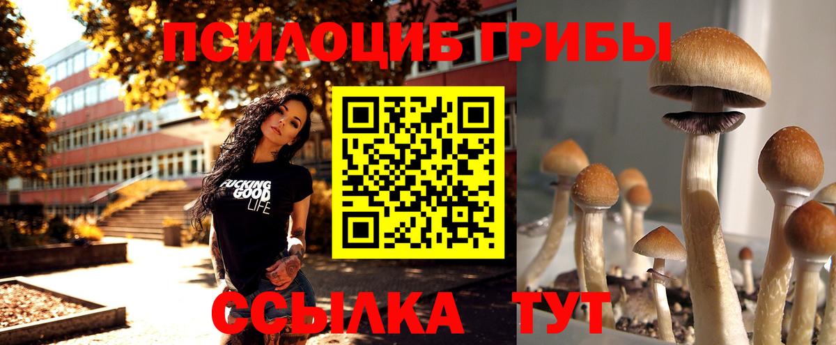 Фролово  Галлюциногенные грибы Cubensis  Вход с VPN  Псилоцибиновые грибы ЛСД 